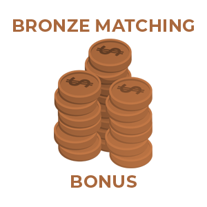 Bronze REG CF Investor